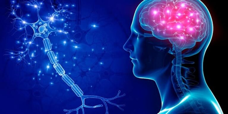 علماء يكتشفون لغز عالم الأحلام!