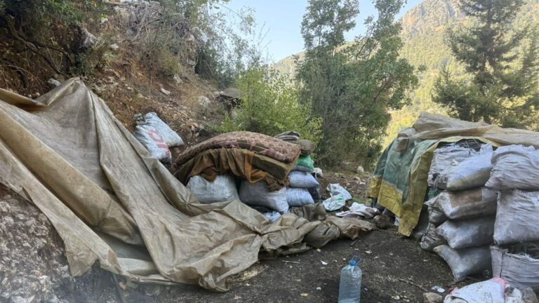 تفحيم غير شرعي