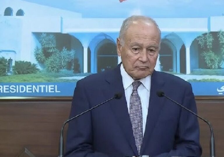 أبو الغيط من بعبدا: الأمور في لبنان تسير في السليم