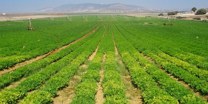 263 مليون دولار لـ”إنقاذ” الزراعة