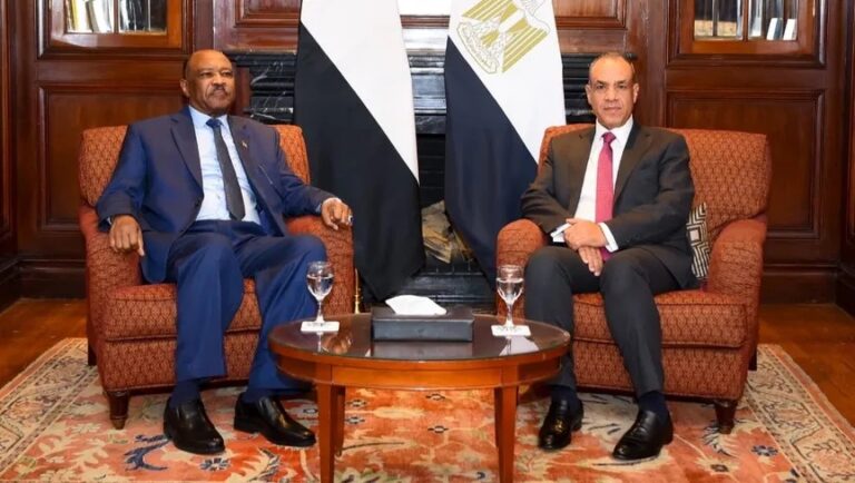 مصر تدخل على خط التهدئة في السودان