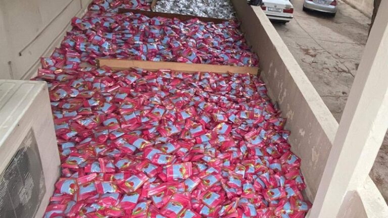 ضبط كميات من المعسّل المهرَّب في البقاع (صور)