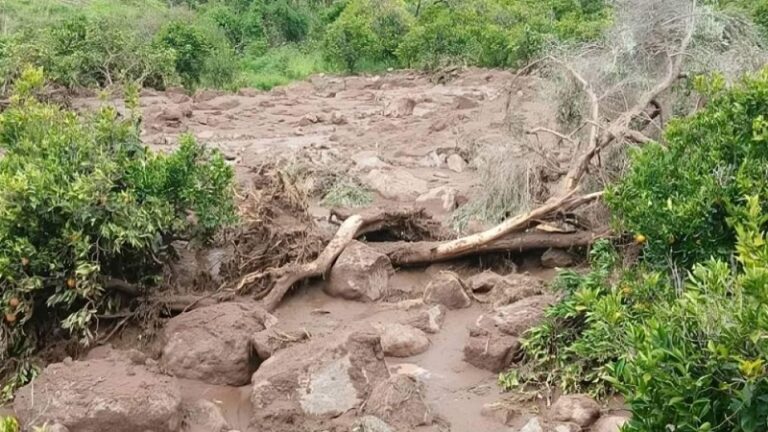 8 قتلى في تاهيتي بانزلاق تربة