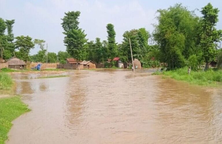 كارثة إنسانية في الكونغو الديمقراطية