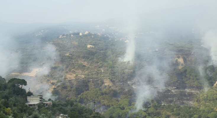 نيران الحرائق تمتد إلى غابة بكاسين (فيديو)