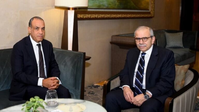 عبد العاطي يستقبل سلام: ندعم لبنان بمواجهة الضربات الاسرائيلية