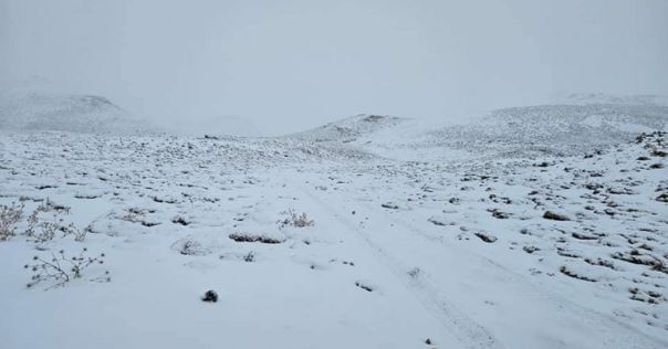 الثلوج تتساقط للمرة الأولى على مرتفعات الضنية