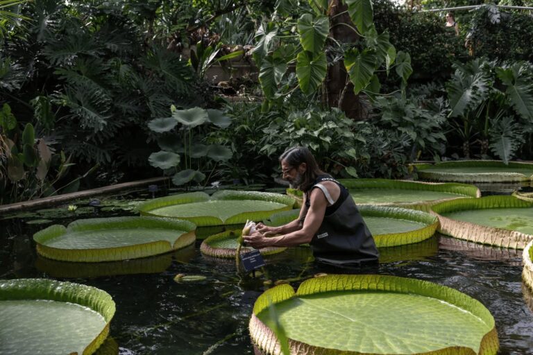 العثور على “أندر” زهرة في العالم!