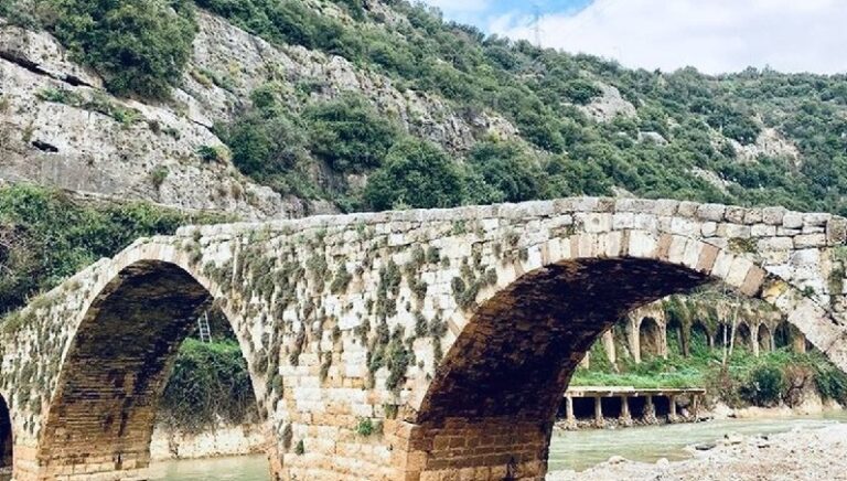 القضاء يأخذ مجراه بقضية إحراق الأحراج