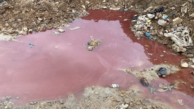 دماء مسالخ تتسرب نحو الأحياء السكنية في بدنايل (صور)