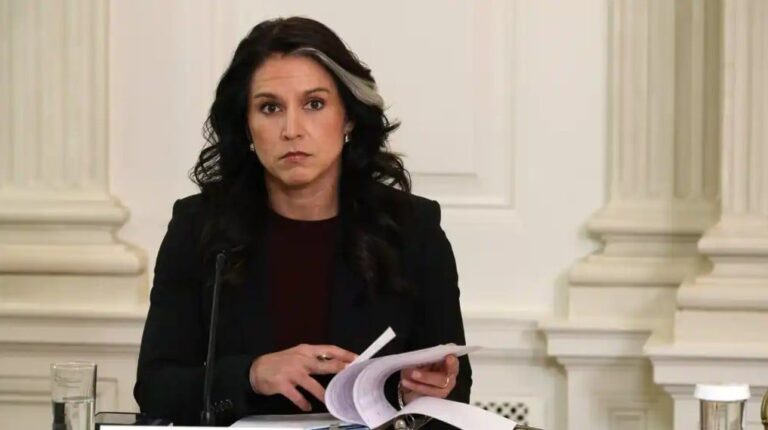 تولسي غابارد