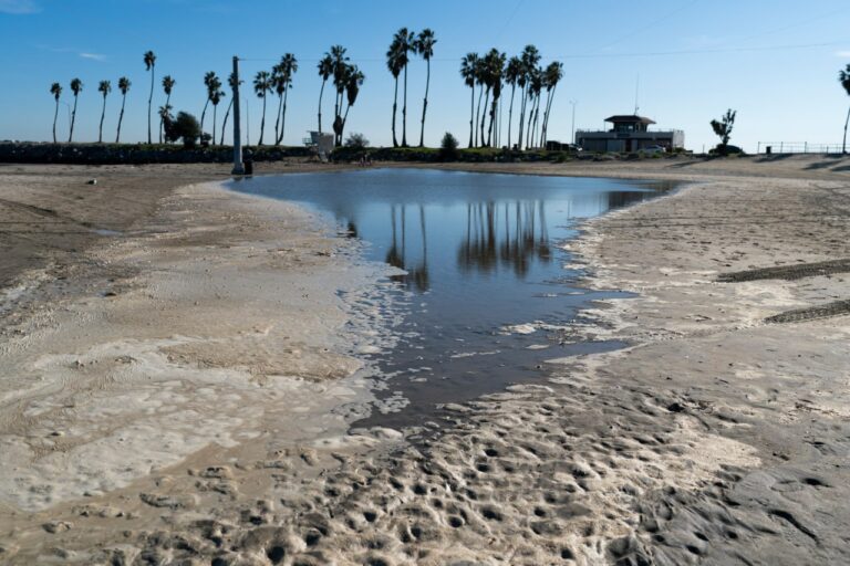 تلوث صحي يغلق شاطئ “كابريلو”
