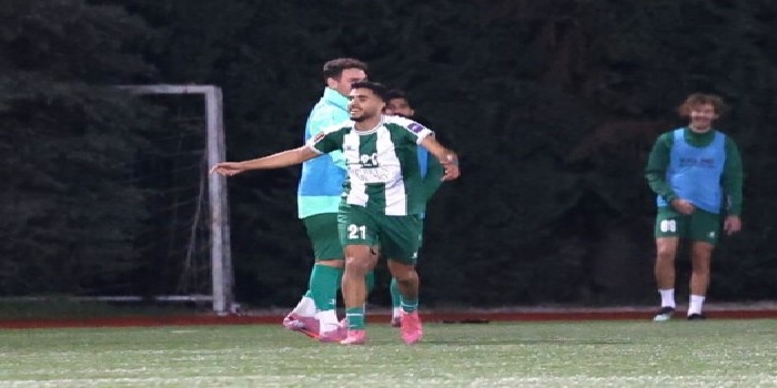 الدوري اللبناني لكرة القدم: الأنصار يهزم التضامن صور ويتصدر مؤقتاً وسقوط جويا أمام الساحل