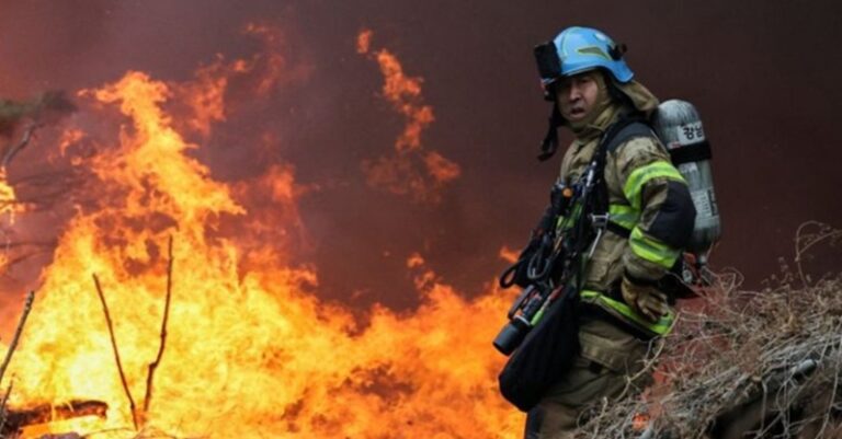 بالفيديو – حريق كبير في كوريا الجنوبية