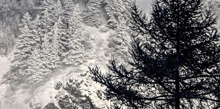 7 قتلى بسبب الصقيع في أميركا (فيديو)