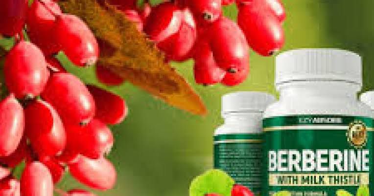 ما هو “البربرين”.. ووما هو تأثيره مع “المغنيسيوم” على مرضى السكري؟