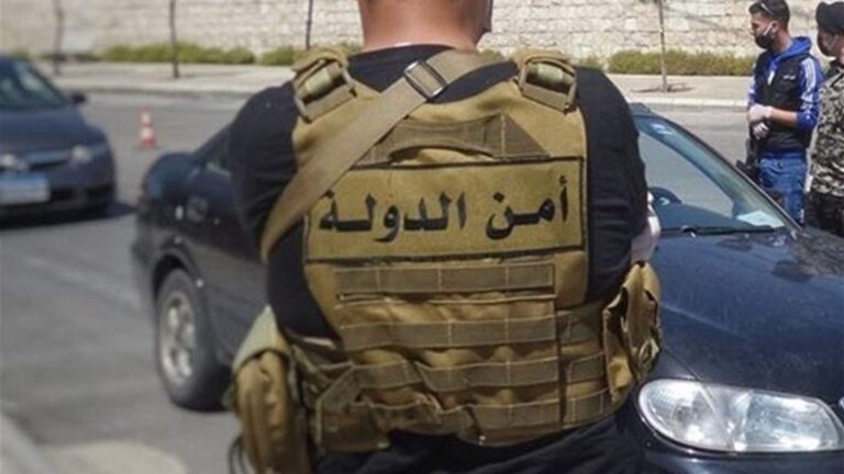 توقيف مسلح في الجنوب بعد إطلاقه النار