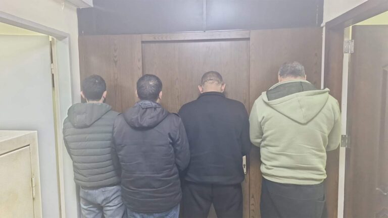 ضبط 42 رأسًا من المواشي المهربة وتوقيف عدة أشخاص