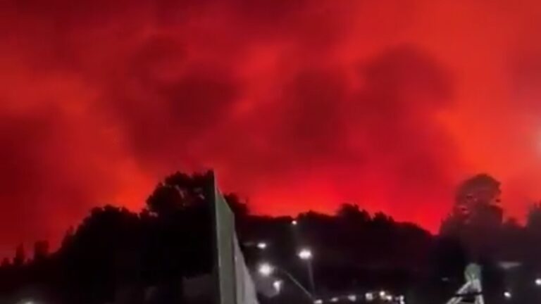 بالفيديو ـ حرائق غابات واسعة في تشيلي.. وقتلى!