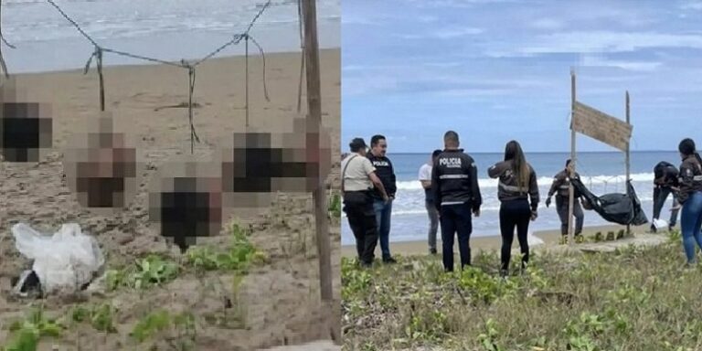 رؤوس بشرية معلقة على الشاطئ!