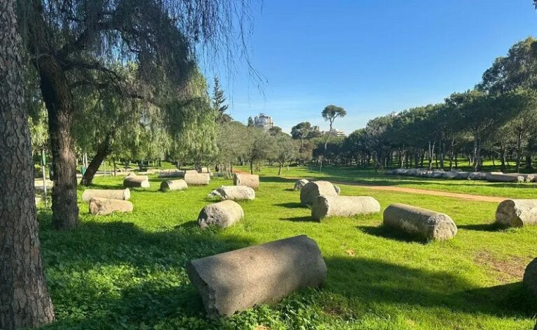 بيروت.. عاصمة الإسمنت