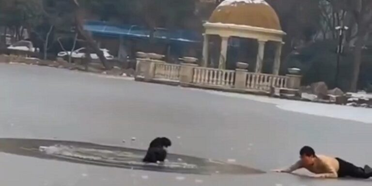 إنقاذ طفل من الغرق في بحيرة متجمدة (فيديو)