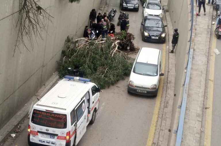 اصابة مواطن بسقوط شجرة في شاتيلا (فيديو)