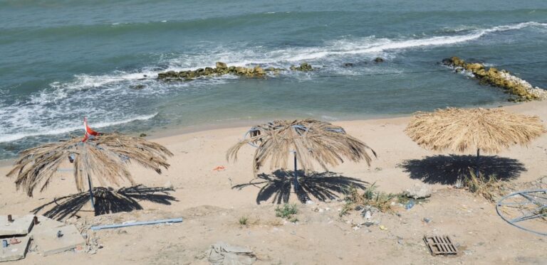 إطلاق نار على عجل عند شاطى الزهراني! (فيديو)