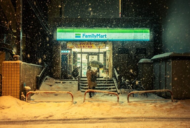 30 قتيلاً بسبب الثلوج في اليابان (فيديو)