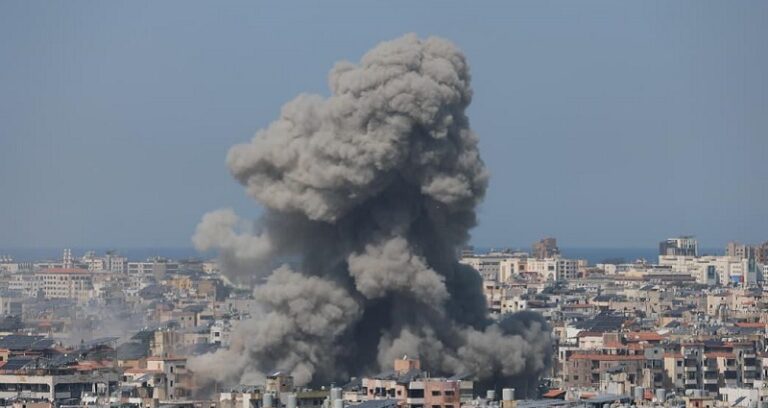 غارة على الجاموس (صور وفيديو)