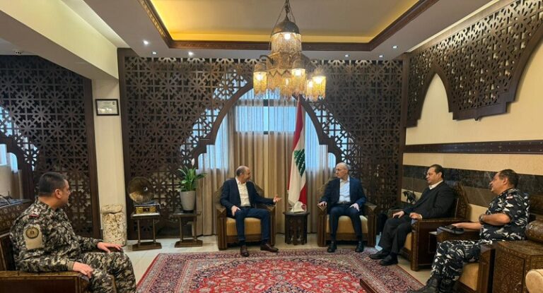 الحجار: الدولة مجندة لمساعدة الجنوب