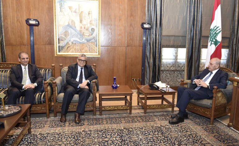 بري يبحث الأوضاع العامة وأضرار الاتصالات وملف واشنطن