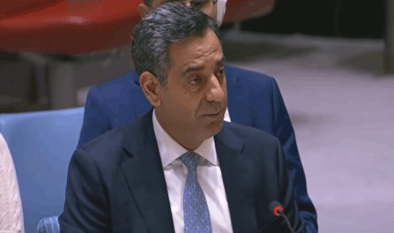 مندوب لبنان في مجلس الأمن: لن نتنازل عن أي شبر من أرضنا